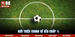 Kèo Chấp ½