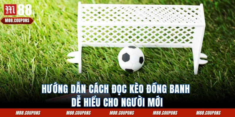 Hướng dẫn cách đọc kèo đồng banh dễ hiểu cho người mới