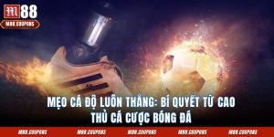 Mẹo Cá Độ Luôn Thắng