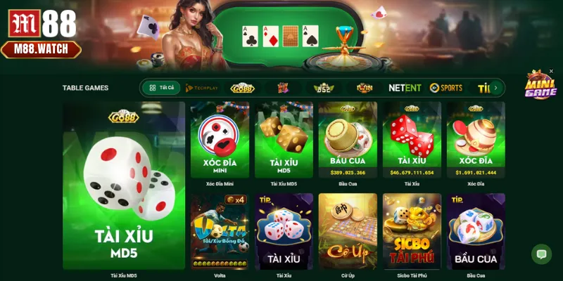 Một số yếu tố cần xem xét khi tải và cài đặt ứng dụng M88